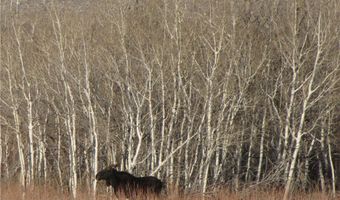 nhn Ranger Way lot Bvr 942-10, Belfry, MT 59008