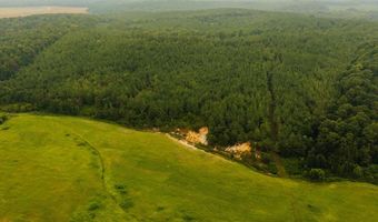 1037 Cr 300, Big Creek, MS 38914