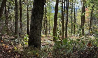 Orchard Hill RD, Beaver, WV 25813
