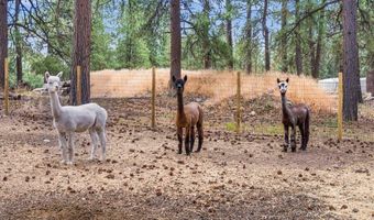 7177 County Road 501, Bayfield, CO 81122