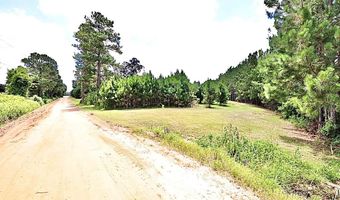 13 89 Ac Lumby Smith & Hwy 37, Adel, GA 31620