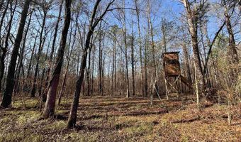 439 WILD ROSE Trl, Ashville, AL 35953