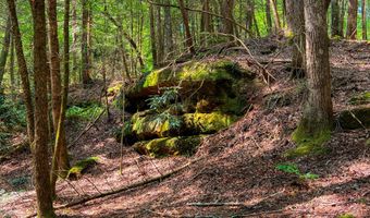 54 E Ridge Rd, Allardt, TN 38504