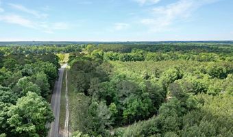 Louisiana #62, Angie, LA 70426