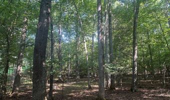 Lot 2B Gidsville Road, Amherst, VA 24521