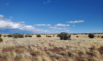 CR 5105, Concho, AZ 85924