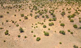 County Road 8643, Concho, AZ 85924