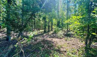 Grants Mill Rd W, Bennettsville, SC 29512