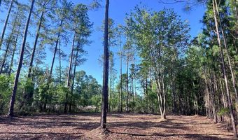 Jarvis Landing Road, Aurora, NC 27806