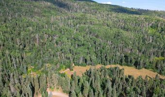 4558 Middle Mountain Rd, Bayfield, CO 81122