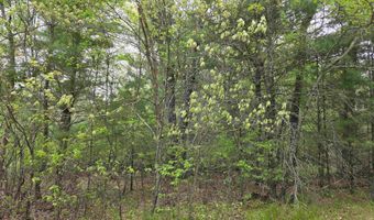 S Badger Lane lot 38, Arkdale, WI 54613