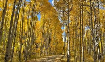 179 Elk Meadow Run, Antonito, CO 81120