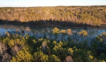 LOT 39 SHORESIDE AT SIPSEY, Double Springs, AL 35553