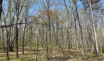 1544 Willard Lake Rd NW, Backus, MN 56435