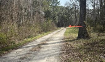 0 Ashe Brown Rd, Adams Run, SC 29426