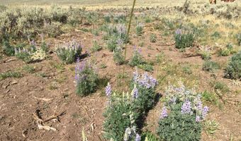 1000 SMITHS FORK Rd, Cokeville, WY 83114