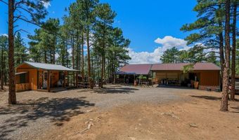 23251 Elk Trl, Aguilar, CO 81020