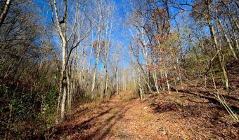 0 State Route 550, Amesville, OH 45711