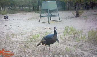 11605 County Road 372, Anson, TX 79501