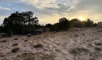 10 CR N 7341, Chambers, AZ 86502