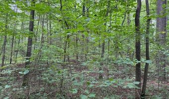 0 Carnes Chapel Rd, Attalla, AL 35954