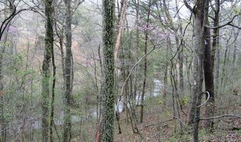 Watauga Lane lot 15, Birchwood, TN 37308