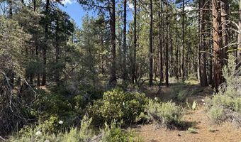 Thunderbear Road 46, Bonanza, OR 97623