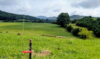 1385 Betsy Ross Rd, Afton, TN 37616