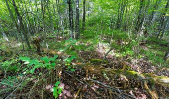 Double Bend Road, Argonne, WI 54511