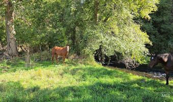 13761 Asotin Creek Rd, Asotin, WA 99402
