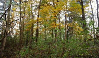 0 Midline Rd, Amsterdam, NY 12010