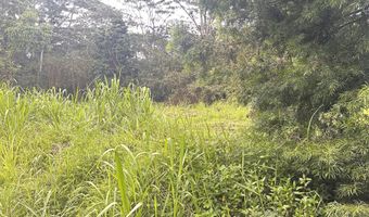 RAILRD RD, Keaau, HI 96749