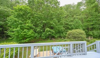590 BEARFOOT, Accident, MD 21520