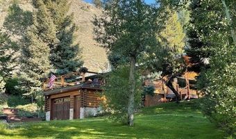 209 Deer Path Ln Lot 9, Almont, CO 81230