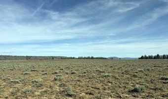 Oregon Pines Road, Beatty, OR 97621