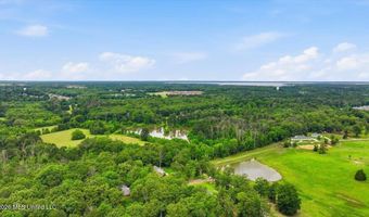 Vine Drive, Brandon, MS 39047