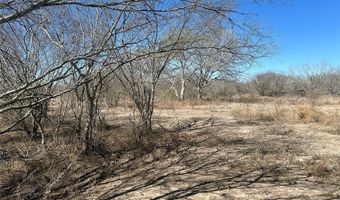 179 County Road 1461 Lot 9, Alice, TX 78332