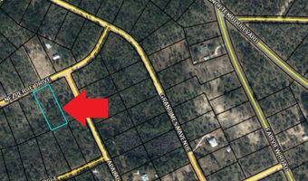 Nezperce Drive lot 128, Alford, FL 32420