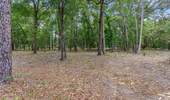 SE 152ND - RAVENSWOOD RD PARCEL B & C LOTS 16 17 Place, Altoona, FL 32702
