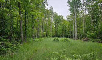 0000 280th Pl, Aitkin, MN 56431