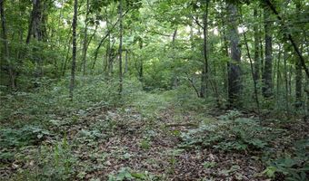 Whiskey Creek Lane, Batesville, AR 72501