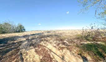 208 Sand Bar Rd, Apalachicola, FL 32320