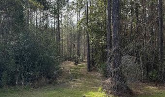 51235 Phillipsville Rd, Bay Minette, AL 36507