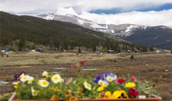 522 COUNTY ROAD 4, Alma, CO 80420