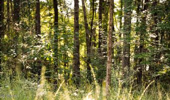Cypress Pointe Drive lot 18, Brooksville, MS 39739