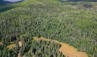 4558 Middle Mountain Rd, Bayfield, CO 81122