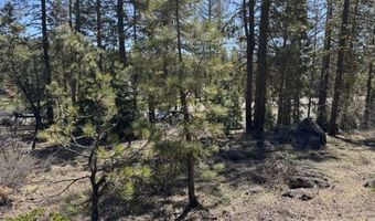 Horned Owl Lane, Bonanza, OR 97623