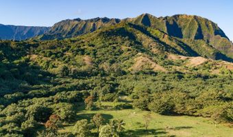 CR KUHIO HWY/ALAMIHI RD, Hanalei, HI 96714