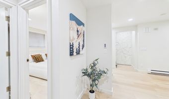 506 W Hallam St, Aspen, CO 81611