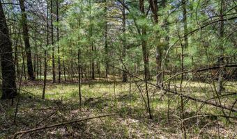 S Badger Lane lot 38, Arkdale, WI 54613